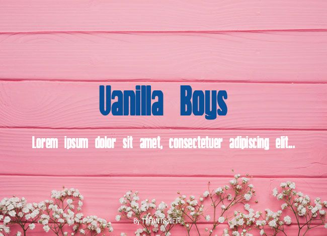 Vanilla Boys example